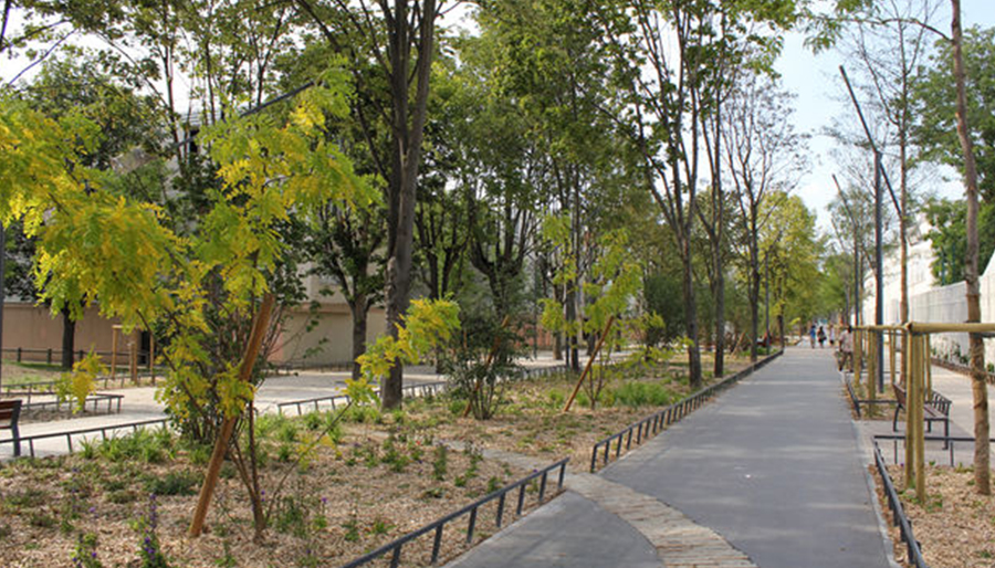 Un plan d’action structuré pour accompagner le changement