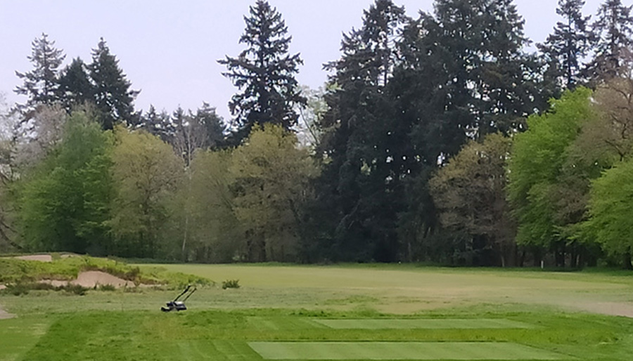 Audit technique en Golf, un préalable à la mise en place d’actions soutenues par l’AESN