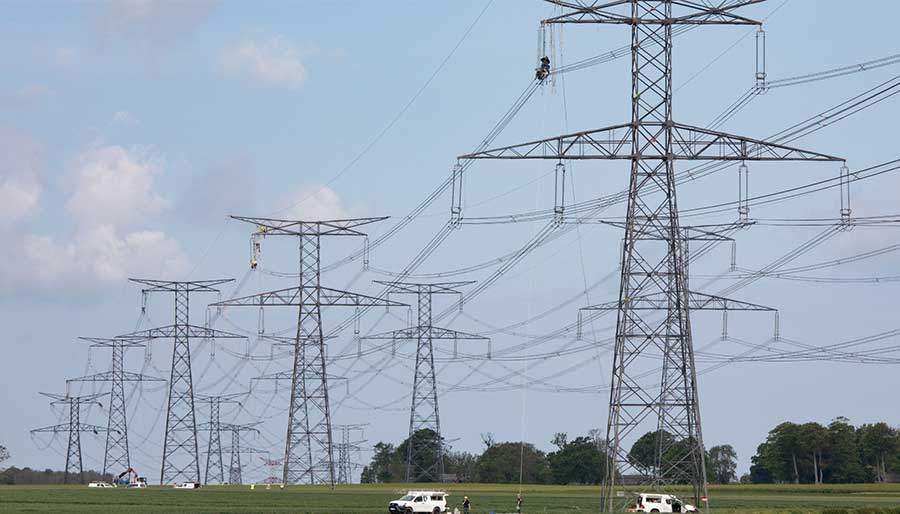 RTE poursuit ses actions en faveur du zéro phyto 