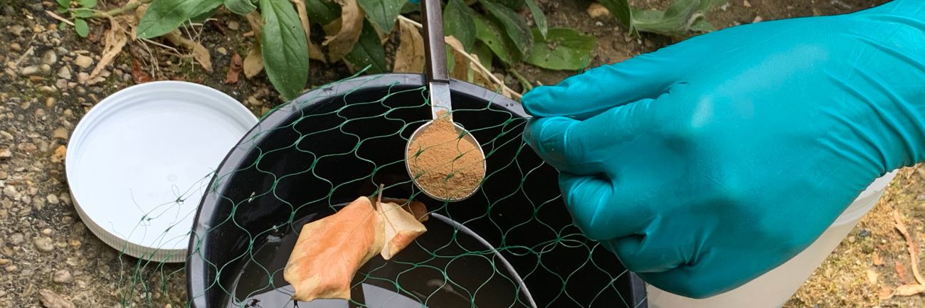 Certibiocide en 2025