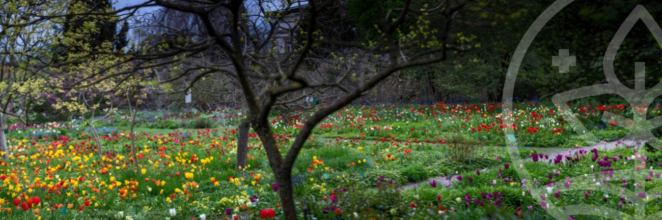 Gestion différenciée, zéro phyto et gestion de la biodiversité