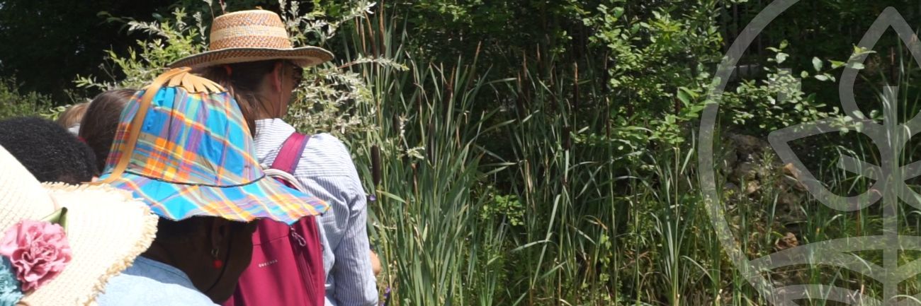 Atlas de Biodiversité Communale à Suresnes