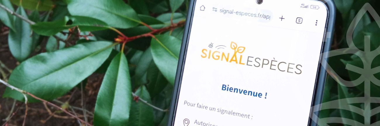 Signal-Espèces : Guide d’utilisation de l’application
