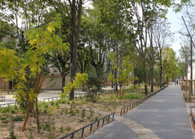 Un plan d’action structuré pour accompagner le changement