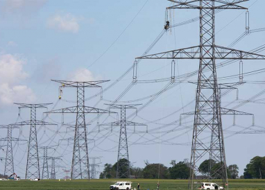 RTE poursuit ses actions en faveur du zéro phyto 