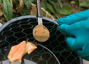 Certibiocide en 2025