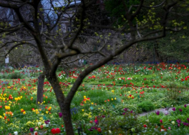 Gestion différenciée, zéro phyto et gestion de la biodiversité