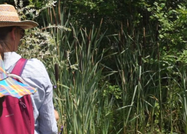 Atlas de Biodiversité Communale à Suresnes