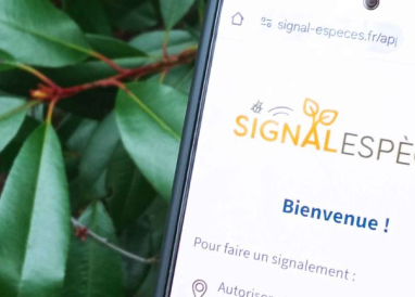 Signal-Espèces : Guide d’utilisation de l’application