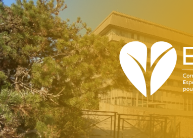 Présence de nids de chenilles processionnaires sur un pin à proximité d’un bâtiment public en Île-de-France (Préfecture du Val-d'Oise)