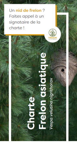 Dépliant de présentation de la Charte Frelon Asiatique
